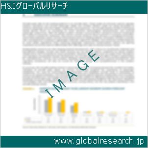グローバルリサーチ調査レポートのイメージ